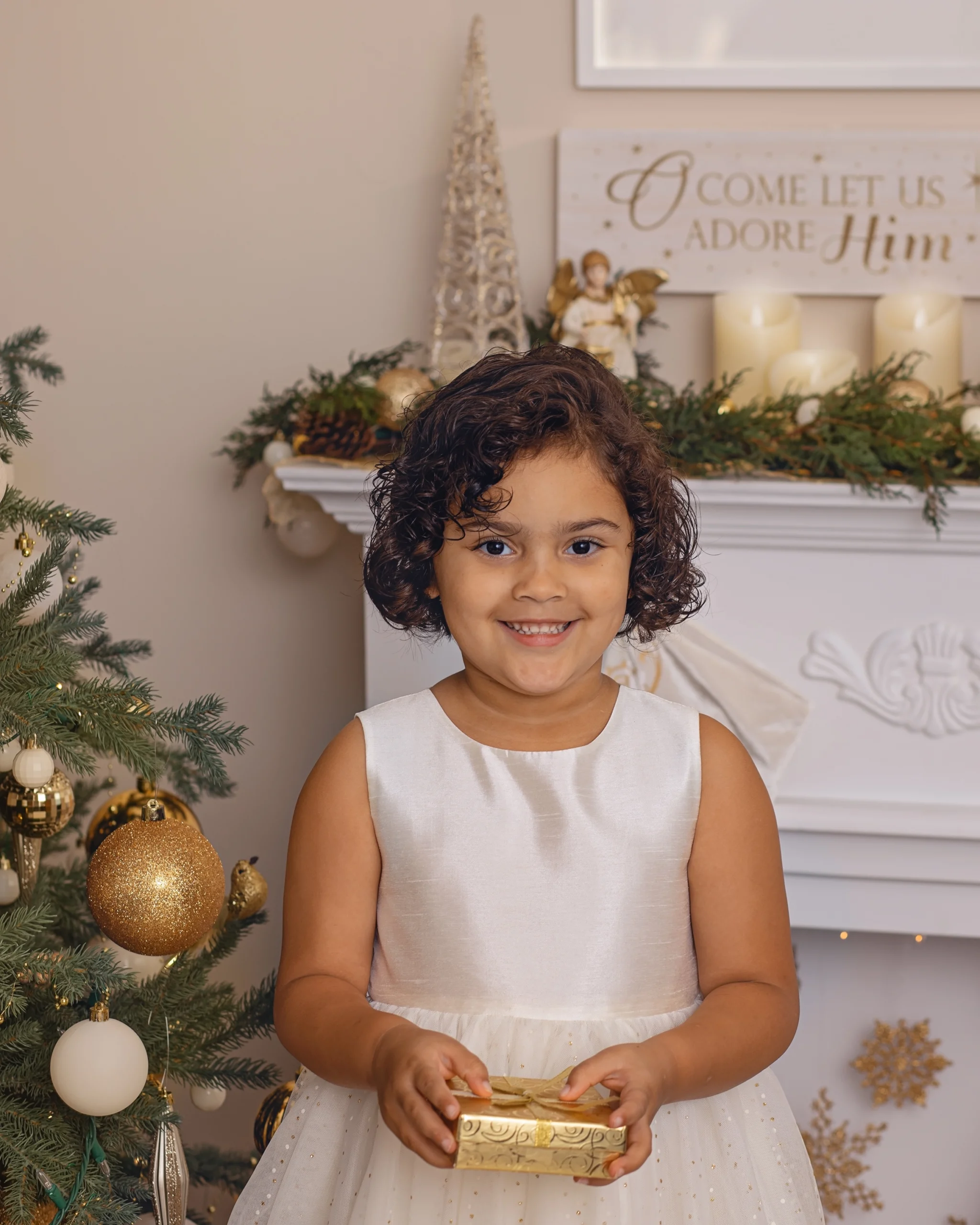 Christmas Mini Sessions 2024