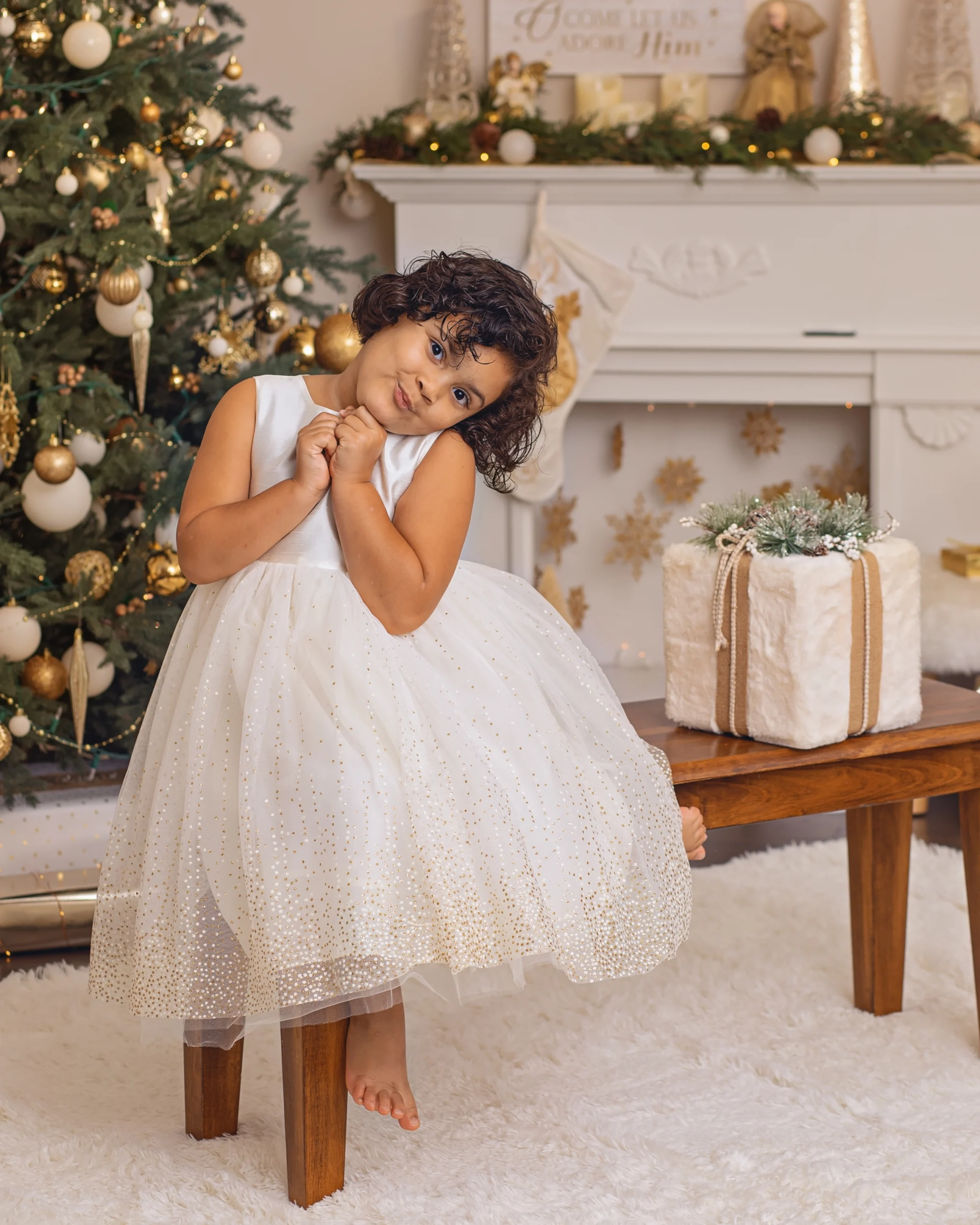 Christmas Mini Sessions 2024