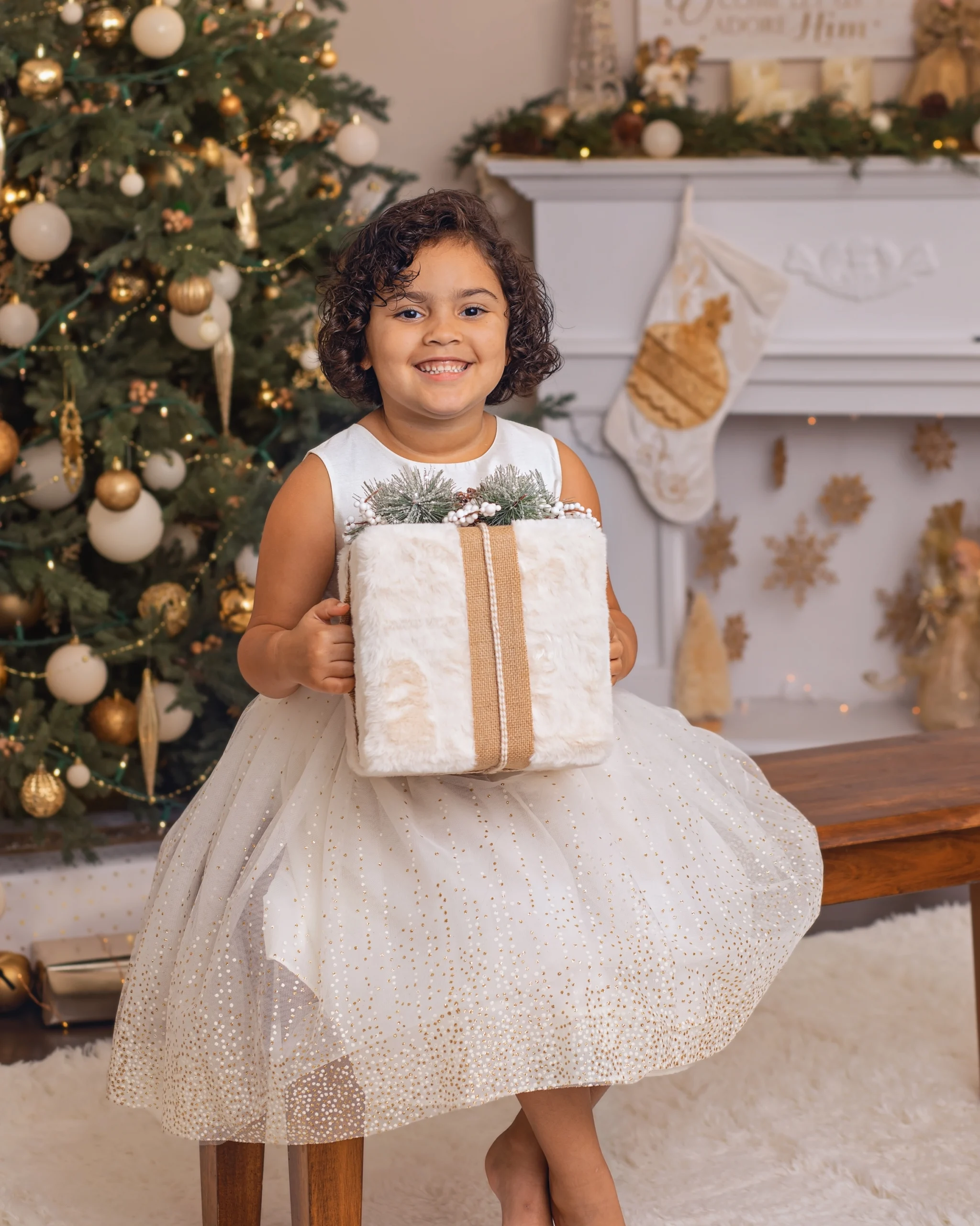 Christmas Mini Sessions 2024