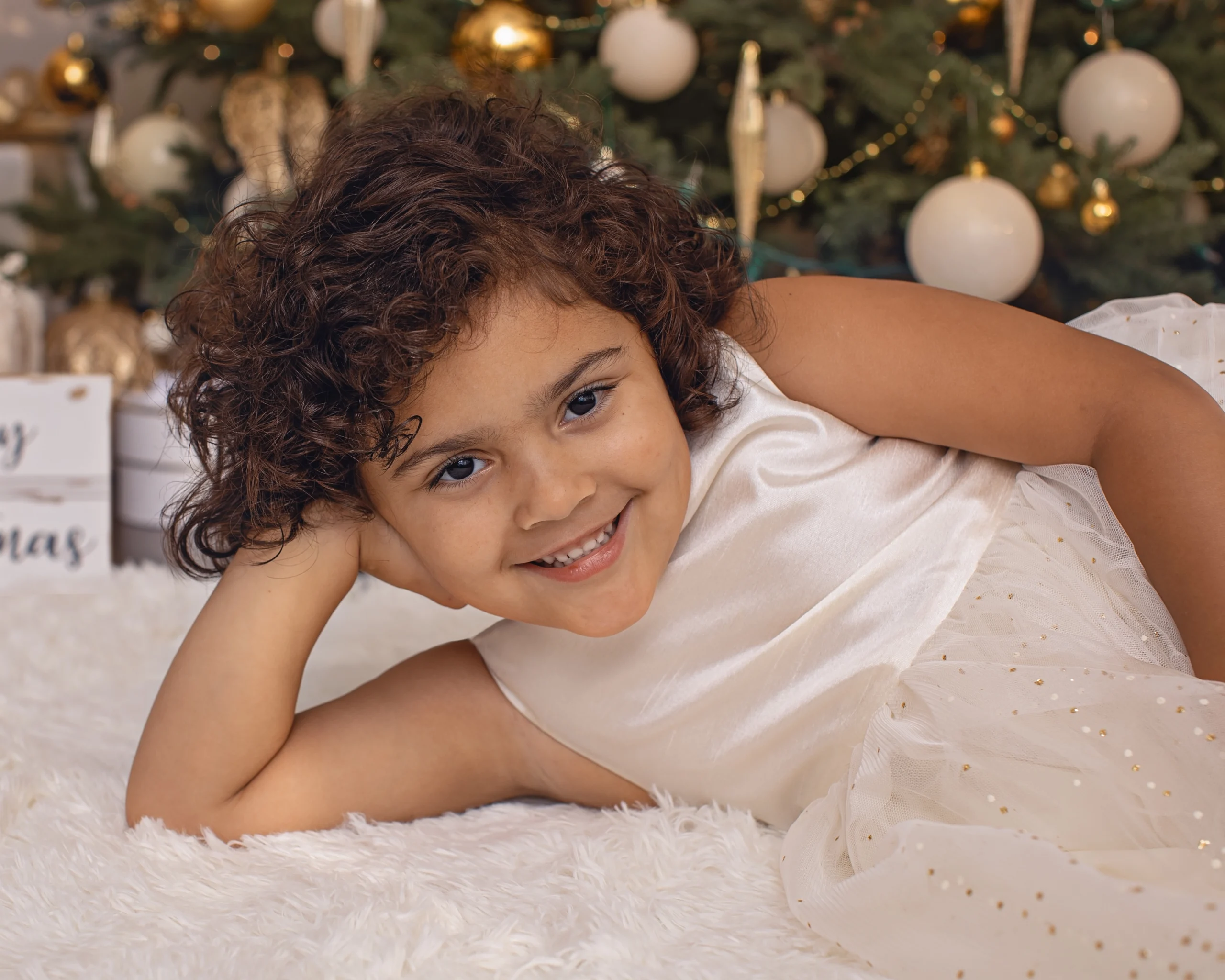 Christmas Mini Sessions 2024