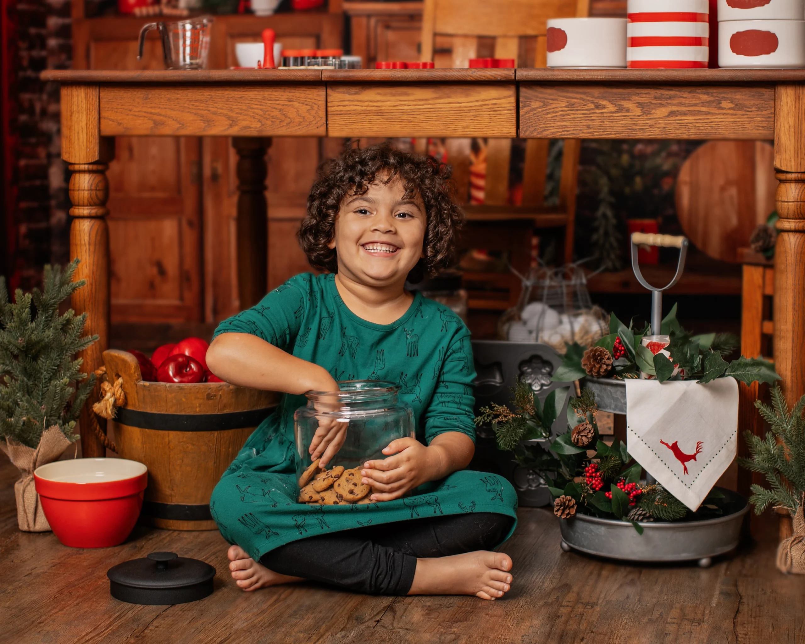 Christmas Mini Sessions 2024