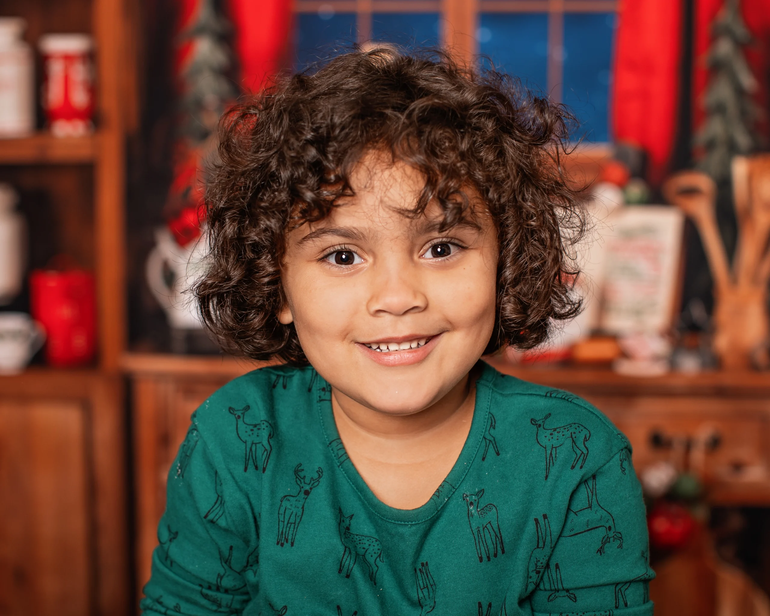 Christmas Mini Sessions 2024