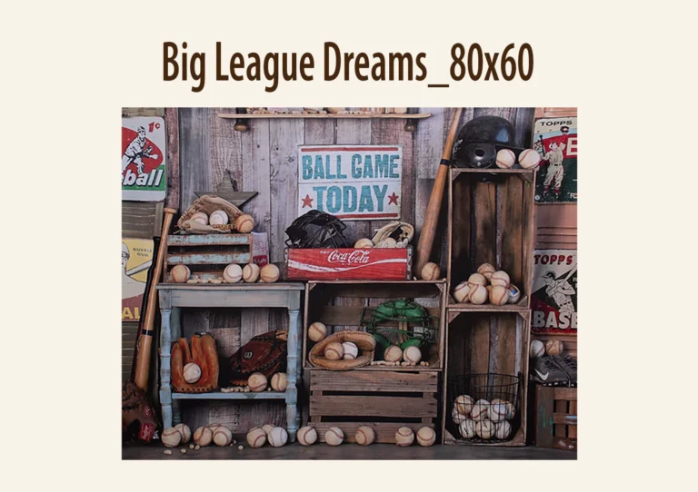 Rustic baseball photography backdrop with bats, gloves, baseballs, and vintage signs.