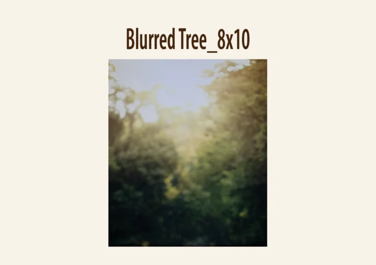 Blurry green and yellow forest-like background with soft sunlight.