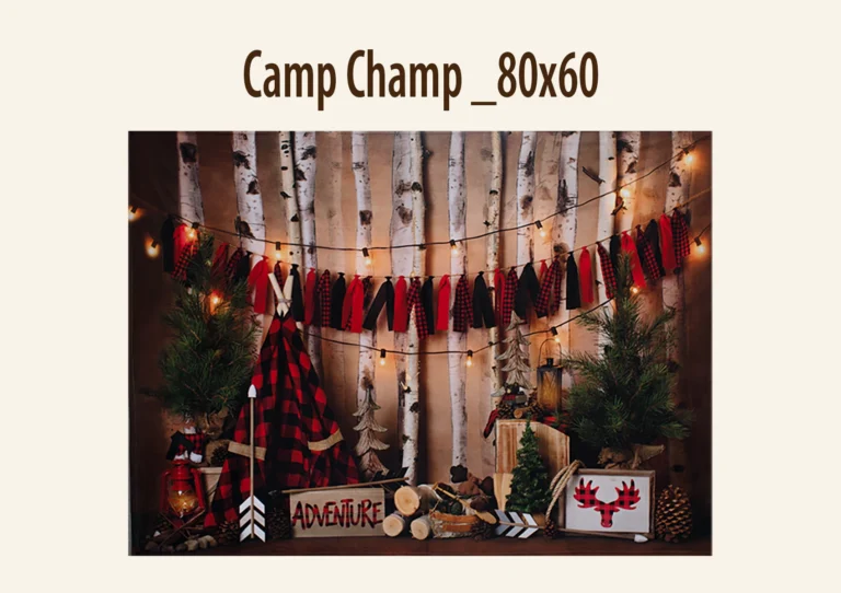 Rustic woodland decor with birch logs, pine trees, a checkered tent, fairy lights, and signs reading “ADVENTURE” and showing an elk silhouette.