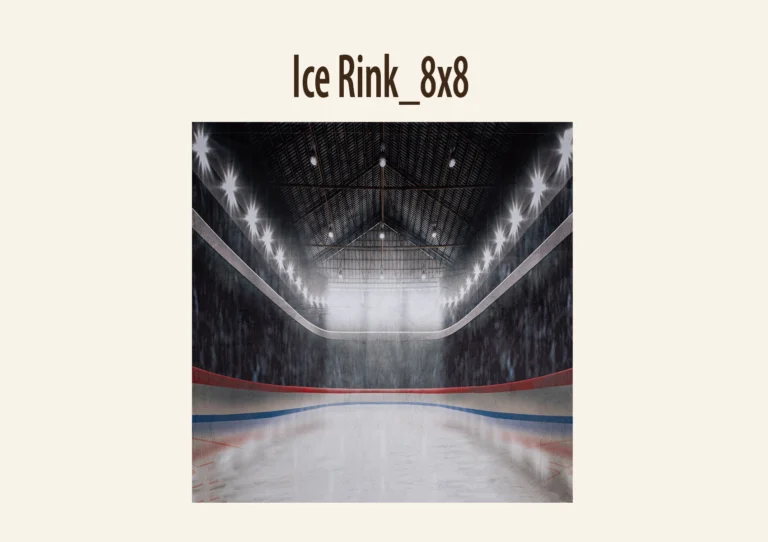 Indoor ice hockey rink with bright lights and a high, geometric ceiling.