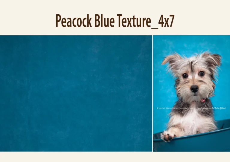 Textured blue photography backdrop with subtle tonal variations.