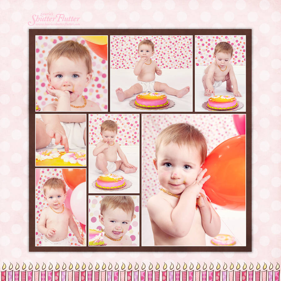 Smash the Cake Photographer in Elk Rive